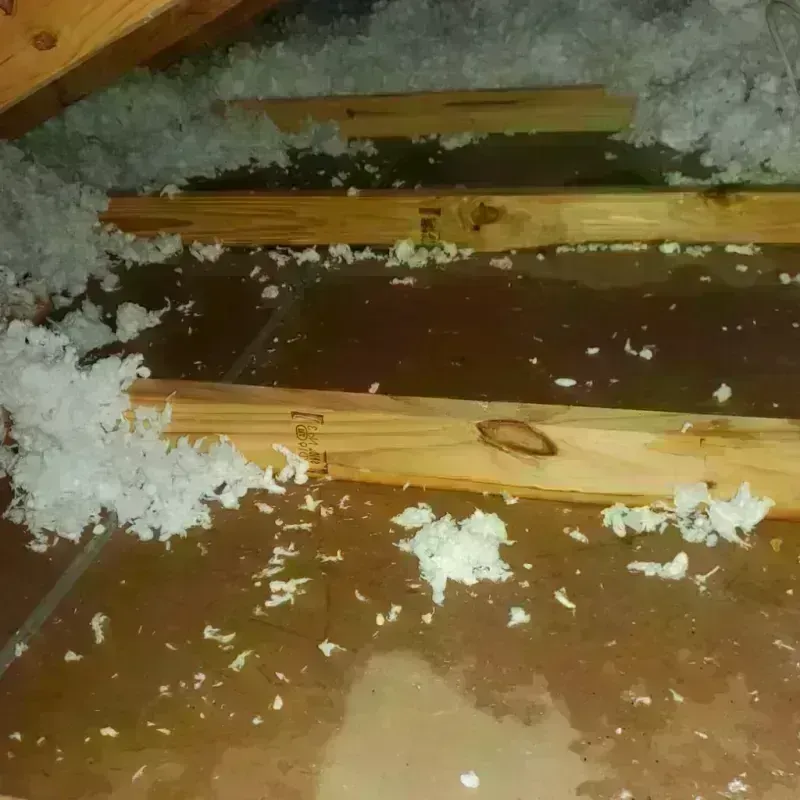 Attic Water Damage in Center Line, MI