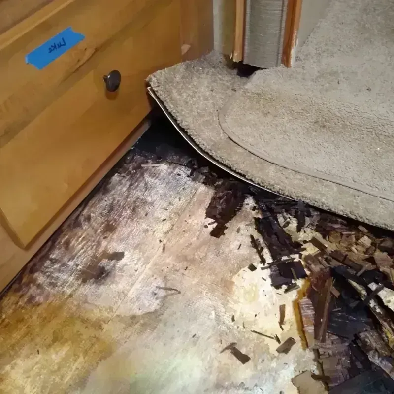 Wood Floor Water Damage in Center Line, MI